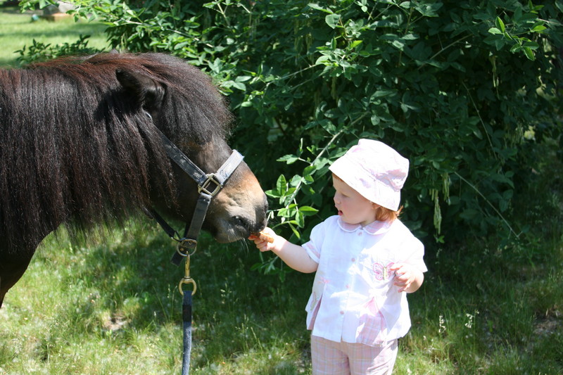 �������� ��������