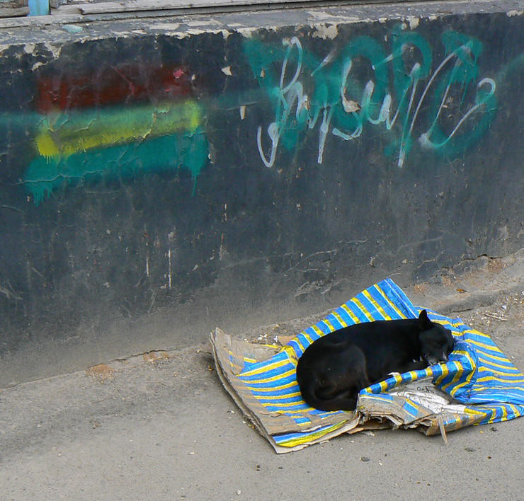 ��������� ���