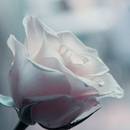 ������� �� �����...