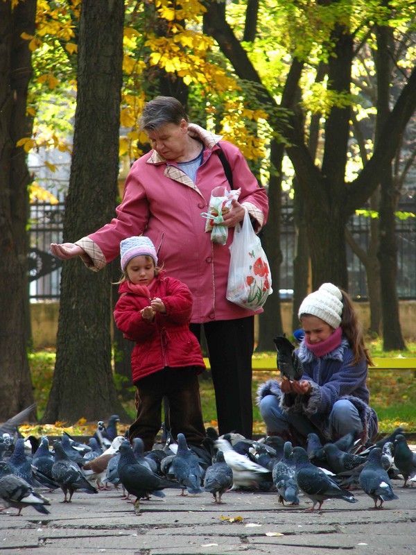 ��������