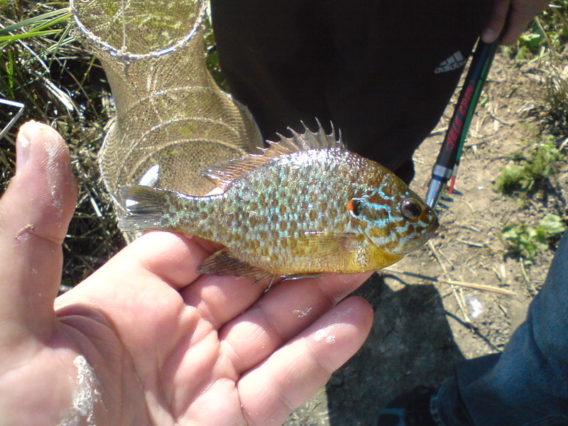 ��� �� �����?