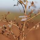 ���� ������� �������...