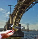 ������..