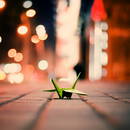 ����_����_�����