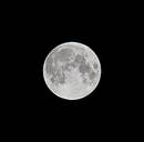 ����� ��������...