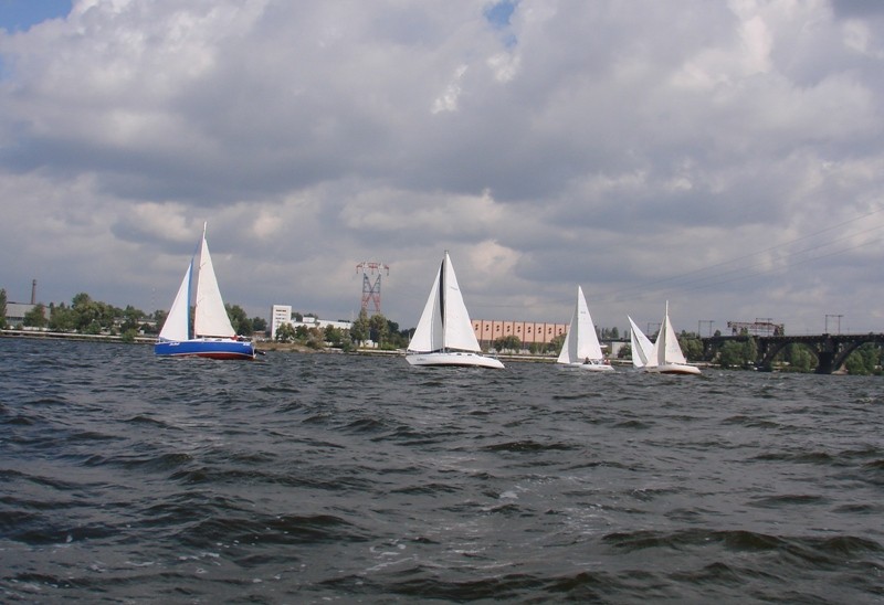   2011