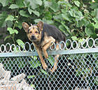 �������� �������