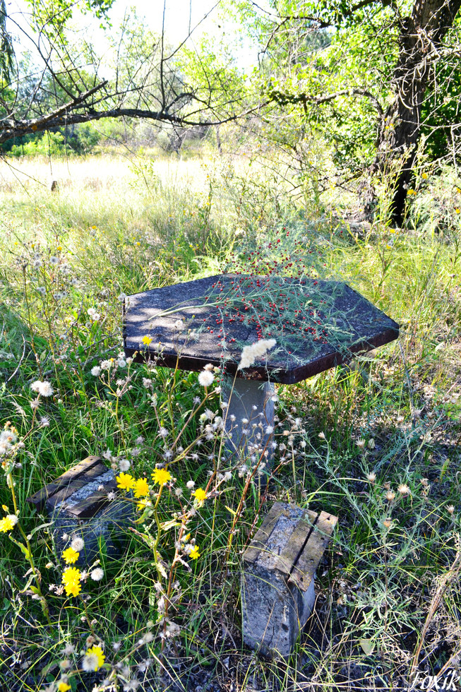 ����� �������� �� �������... ����� ������ � ���� �����