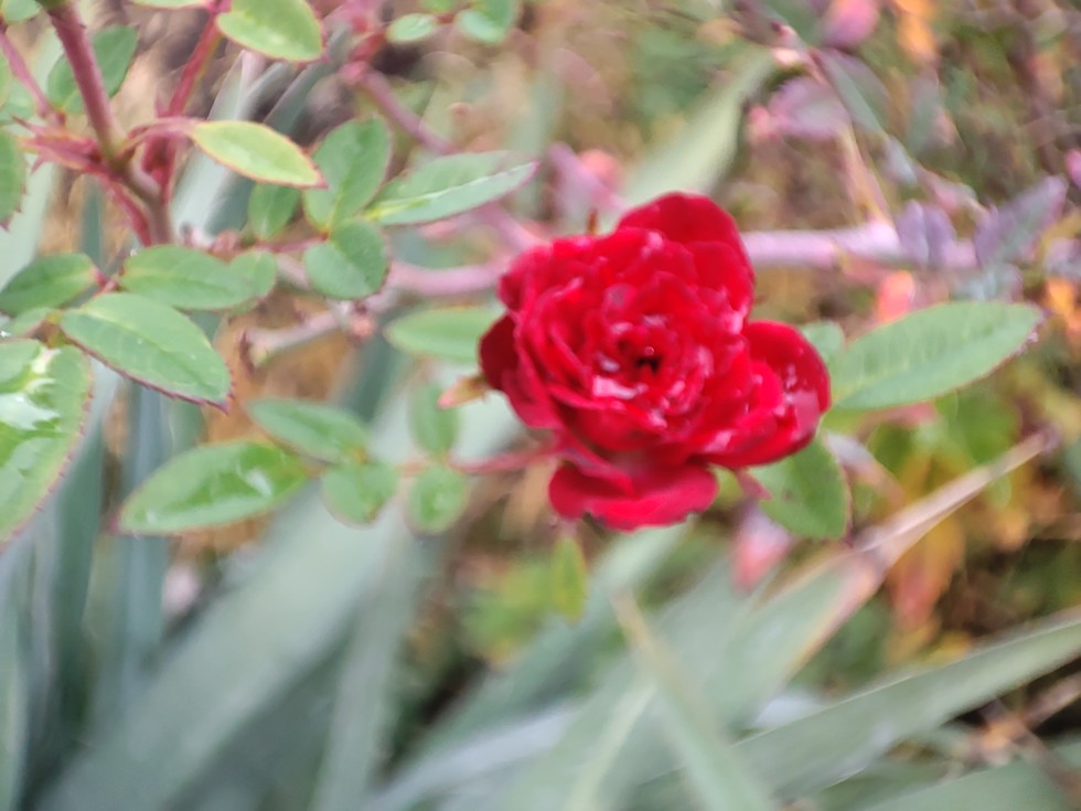 ̳�� ����