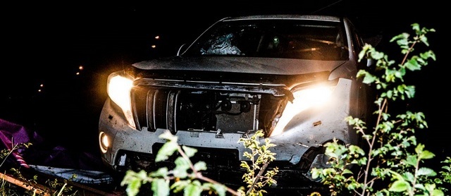 ����: ��������� ����