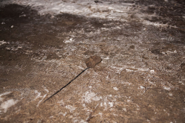 �����, ������� ������������ ��� ������� ����.