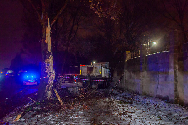 ����: ����������