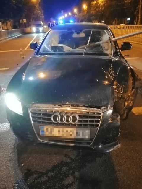 ����: �������