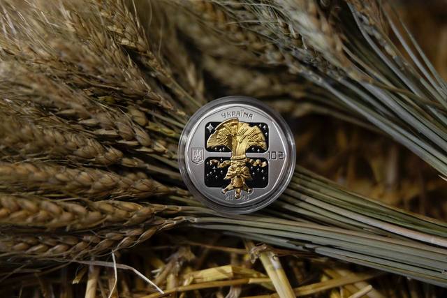 ����: ���