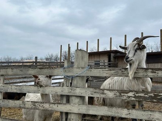 ����������� ���� �� ������� �������� ������. �������� ������/�������� �����