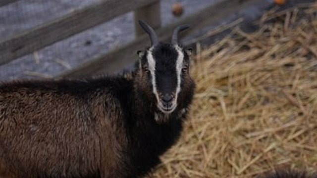 ���� �� ������� �������� ������. �������� ������/������ �������