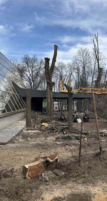 �������� ����� ��� ����� �� ����� ��������.