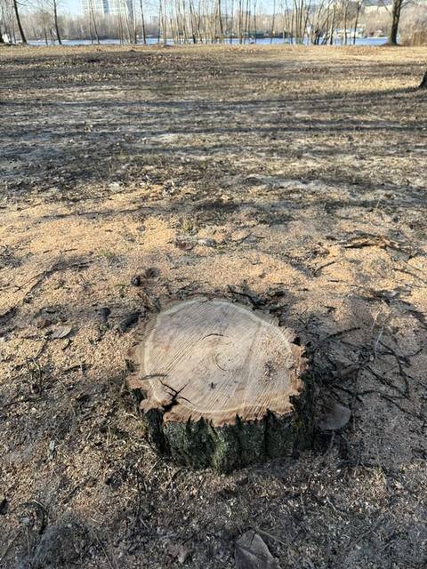 ���, �� ���������� �� ������ �� �������������� ������. 