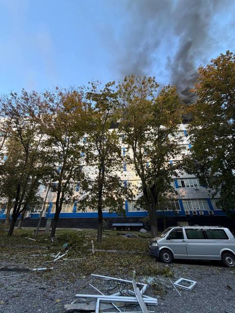 ����: ��������