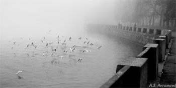 ���������� ������������ ������������ 