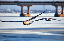 ����� ����� ������ ������ ���������?