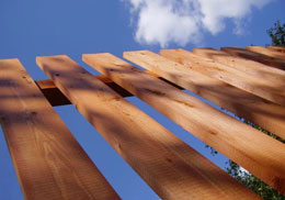 ��� ��������� ���������� ������������� � ���������������?