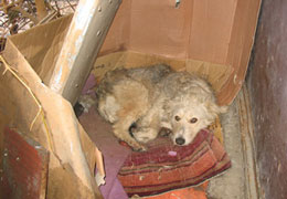 ��������� ������