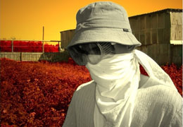 ���� ������ ������ ����������?