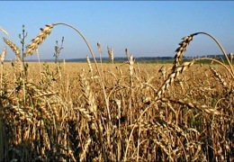 ��������� ����� ���� � ���������������� ���������