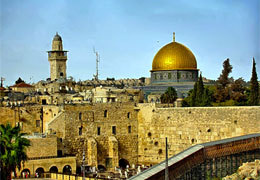 � 21 �� 28 ������� ��������� ������������� ��� �������-�������� � ������������� ����������� ������