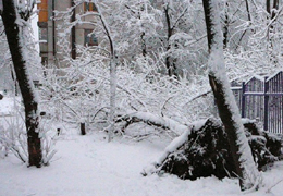 ��� ������� �������������� ������ �� ����� ��������