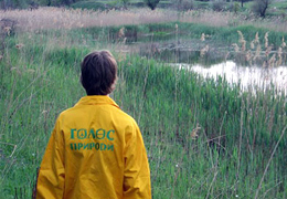 ����������������� ����������� ������ �������� ������� ������� � ������������ �������