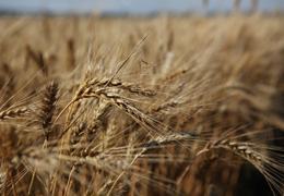 �������� ������� �� �������� �����