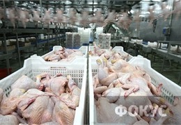 ������ ����� � 2011 ���� ���������� ��������