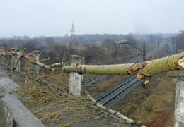 ���� �� ����� ����� ������ �������