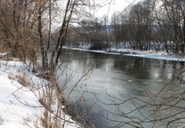 ��������� ������� ������������ ���������� �� ���� ������