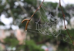 � ������� ����� ������ ��� � ������ �����