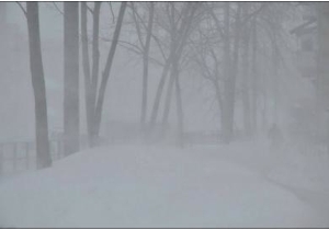 ������� ������� ������������� �� ���������� �������� �������