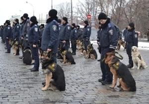 ������� ������� ��������� � ����� �������������� �����