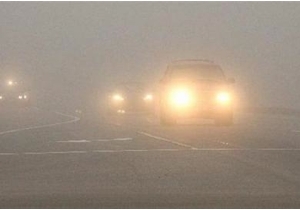 � ��������������� �� ���� ������ ������������ ��������� �������� �������