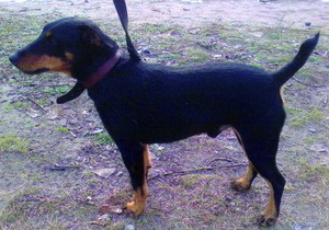 � ���������������� ������� ��������� ����� ������