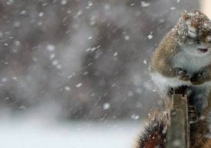 �� ���������������� �������� �����