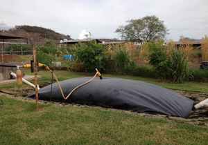 � ������������ ���� ������ �������� ���������� ����