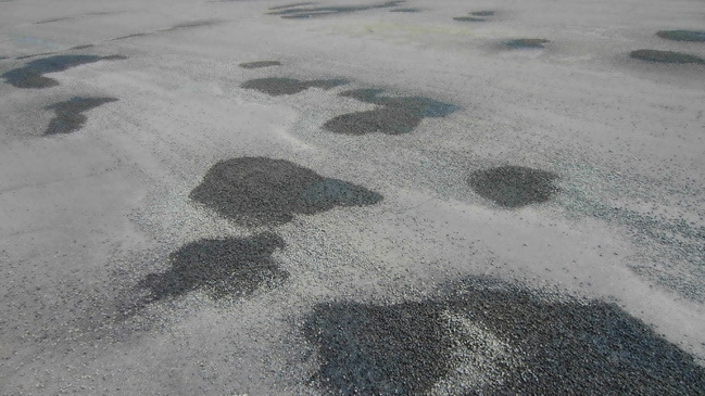 ����� ����� ����� ��������������� � ��������� � 2017 ����