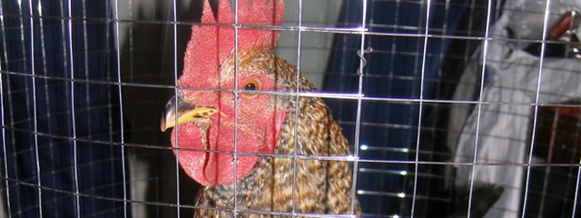 � ����������� ������ ����� � ������� ��������� ����� �����