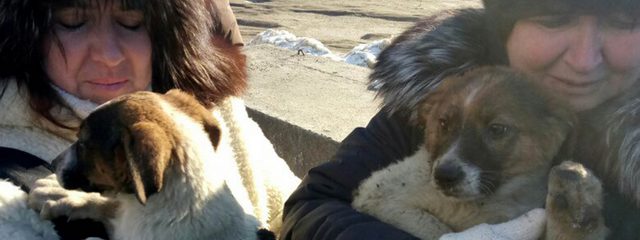 � ����� ������������ ��������� ������� � ������