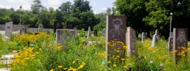 Каменские кладбища будут охранять за 2 млн гривен