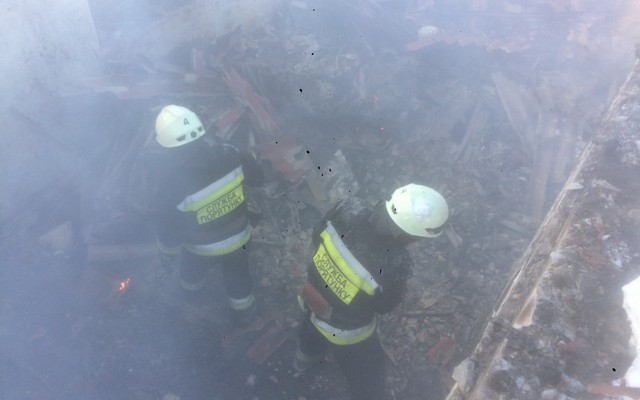 В Днепре в результате пожара погибли около 5000 птиц