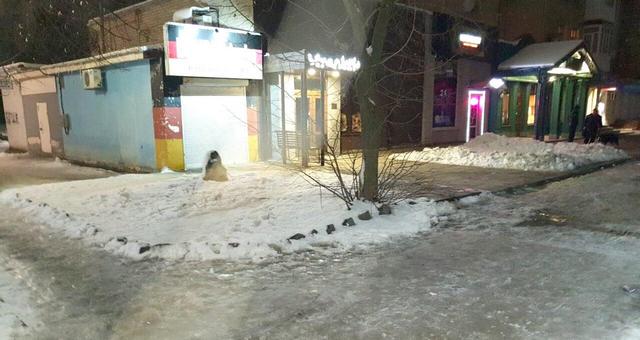 На Дніпропетровщині поліцейські затримали зловмисника з допомогою службового собаки Сєвєра