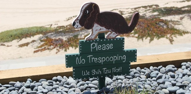 �� ����� � �����: ���������� �������� ����� ����������� �������